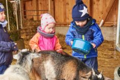 Tiergestützte Pädagogik Wir kaufen einen Bauernhof … oder einfach tiergestützte Pädagogik