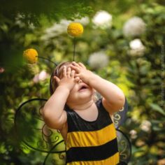 Hilfe bei Bienen- und Wespenstichen