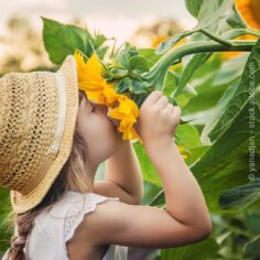 🍂 50 Herbst-Aktivitäten für die Kita