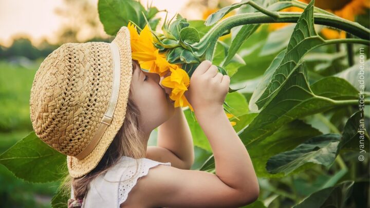 🍂 50 Herbst-Aktivitäten für die Kita